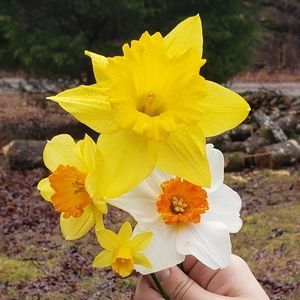 Meet your Posher, Freyja